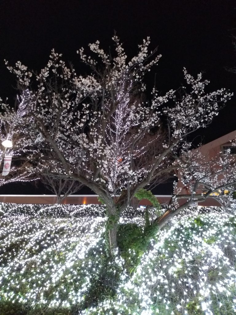 この画像には alt 属性が指定されておらず、ファイル名は IMG_20200213_233139716-768x1024.jpg です